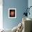 Star Formation in Region DR6 Photograph - Outer Space-Lantern Press-Framed Art Print displayed on a wall