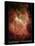 Star Formation in Region DR6 Photograph - Outer Space-Lantern Press-Stretched Canvas
