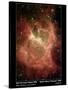 Star Formation in Region DR6 Photograph - Outer Space-Lantern Press-Stretched Canvas