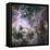 Star Formation in the Tarantula Nebula-null-Framed Stretched Canvas