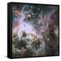 Star Formation in the Tarantula Nebula-null-Framed Stretched Canvas