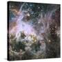 Star Formation in the Tarantula Nebula-null-Stretched Canvas