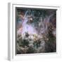 Star Formation in the Tarantula Nebula-null-Framed Photographic Print