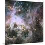 Star Formation in the Tarantula Nebula-null-Mounted Photographic Print