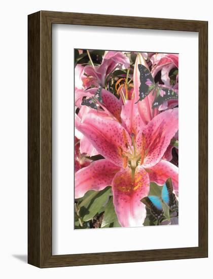 Star Gazer Dream-Alixandra Mullins-Framed Art Print