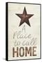 Star Home Mute-Milli Villa-Framed Stretched Canvas