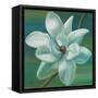 Star Magnolia-Vivien Rhyan-Framed Stretched Canvas