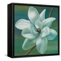 Star Magnolia-Vivien Rhyan-Framed Stretched Canvas
