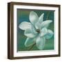 Star Magnolia-Vivien Rhyan-Framed Art Print