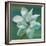 Star Magnolia-Vivien Rhyan-Framed Art Print