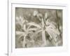 Star Magnolias I-Amy Melious-Framed Art Print