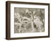 Star Magnolias I-Amy Melious-Framed Art Print