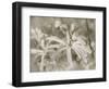 Star Magnolias I-Amy Melious-Framed Art Print