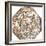 Star Map, Astronomicon Caesareum, 1540-Science Source-Framed Giclee Print