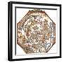 Star Map, Astronomicon Caesareum, 1540-Science Source-Framed Giclee Print