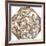 Star Map, Astronomicon Caesareum, 1540-Science Source-Framed Giclee Print