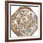 Star Map, Astronomicon Caesareum, 1540-Science Source-Framed Giclee Print