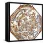 Star Map, Astronomicon Caesareum, 1540-Science Source-Framed Stretched Canvas