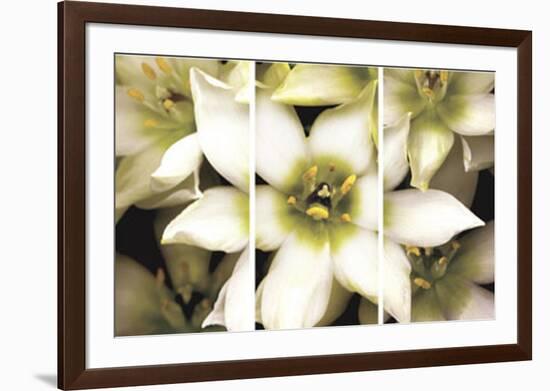 Star of Bethlehem Triptych-Andrew Levine-Framed Art Print