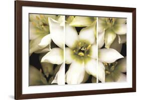 Star of Bethlehem Triptych-Andrew Levine-Framed Art Print