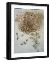 Star of Bethlehem, Wood Anemone and Sun Spurge-Leonardo da Vinci-Framed Art Print