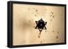 Star of David in Synagogue Budapest, Hungary-null-Framed Poster