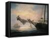Star of India-Nicky Boehme-Framed Stretched Canvas