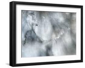 Star Player-Ursula Abresch-Framed Premium Photographic Print