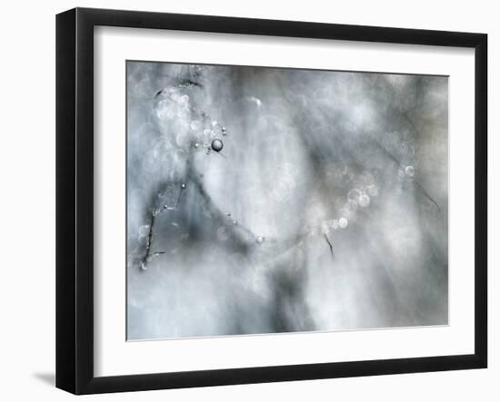 Star Player-Ursula Abresch-Framed Photographic Print