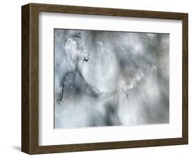 Star Player-Ursula Abresch-Framed Photographic Print