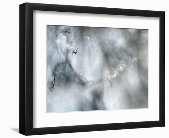 Star Player-Ursula Abresch-Framed Photographic Print