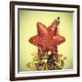 Star-Shaped Christmas Ornament and Golden Tinsel with a Retro Effect-nito-Framed Photographic Print