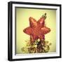 Star-Shaped Christmas Ornament and Golden Tinsel with a Retro Effect-nito-Framed Photographic Print