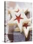 Star-Shaped Jam Biscuits with Icing Sugar (Christmas)-null-Stretched Canvas