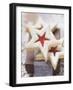 Star-Shaped Jam Biscuits with Icing Sugar (Christmas)-null-Framed Photographic Print