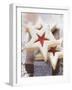 Star-Shaped Jam Biscuits with Icing Sugar (Christmas)-null-Framed Photographic Print