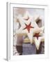 Star-Shaped Jam Biscuits with Icing Sugar (Christmas)-null-Framed Photographic Print