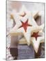 Star-Shaped Jam Biscuits with Icing Sugar (Christmas)-null-Mounted Photographic Print