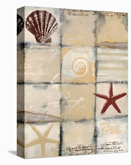 Star Shell-Anna Flores-Stretched Canvas