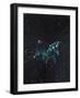 Star Sign - Aires, 2016-Vincent Alexander Booth-Framed Giclee Print