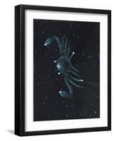 Star Sign -Cancer, 2016-Vincent Alexander Booth-Framed Giclee Print