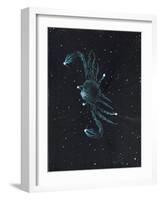 Star Sign -Cancer, 2016-Vincent Alexander Booth-Framed Giclee Print