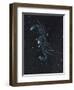 Star Sign -Cancer, 2016-Vincent Alexander Booth-Framed Premium Giclee Print