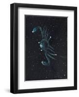 Star Sign -Cancer, 2016-Vincent Alexander Booth-Framed Premium Giclee Print