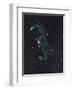 Star Sign -Cancer, 2016-Vincent Alexander Booth-Framed Premium Giclee Print