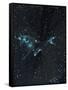 Star Sign - Capricorn, 2016-Vincent Alexander Booth-Framed Stretched Canvas