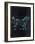 Star Sign - Leo, 2016-Vincent Alexander Booth-Framed Giclee Print