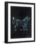 Star Sign - Leo, 2016-Vincent Alexander Booth-Framed Giclee Print