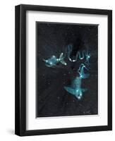 Star Sign -Pisces, 2016-Vincent Alexander Booth-Framed Premium Giclee Print
