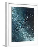 Star Sign - Scorpio, 2016-Vincent Alexander Booth-Framed Giclee Print